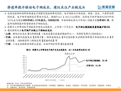 東吳證券 從思摩爾看電子煙黃金時代——計(jì)算機(jī)批發(fā)視角